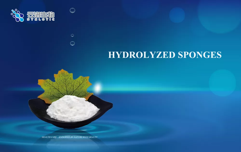 Hydrolyzed sponges