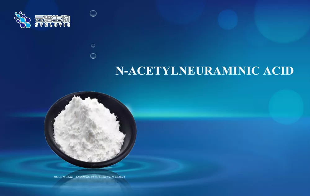 N-acetylneuraminic acid